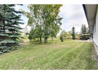 Photo 14: 386141 2 Street E: Rural Foothills M.D. House for sale : MLS®# C4081812