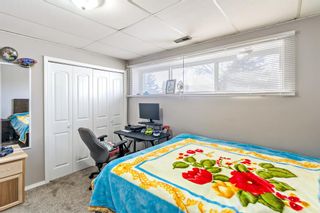 Photo 23: 316 Whiteview Road NE in Calgary: Whitehorn Detached for sale : MLS®# A2020273