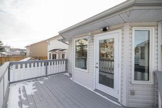 Photo 38: 195 Citadel Manor NW in Calgary: Citadel Detached for sale : MLS®# A2013676