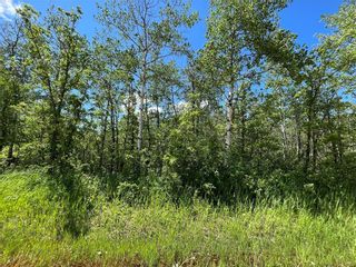 Photo 6: 40E Road in Ste Anne Rm: Vacant Land for sale : MLS®# 202210995