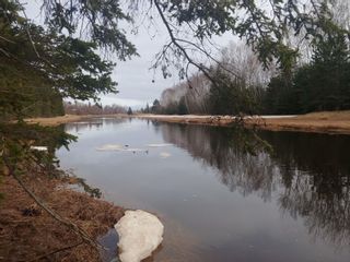 Photo 1: Toney River Road in Toney River: 108-Rural Pictou County Vacant Land for sale (Northern Region)  : MLS®# 202220779