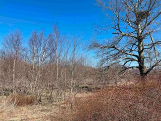 Photo 8: 6265 seaside Drive in Dominion: 203-Glace Bay Vacant Land for sale (Cape Breton)  : MLS®# 202207676