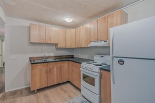 Photo 16: 3343 Doverthorn Road SE in Calgary: Dover Semi Detached (Half Duplex) for sale : MLS®# A2031283