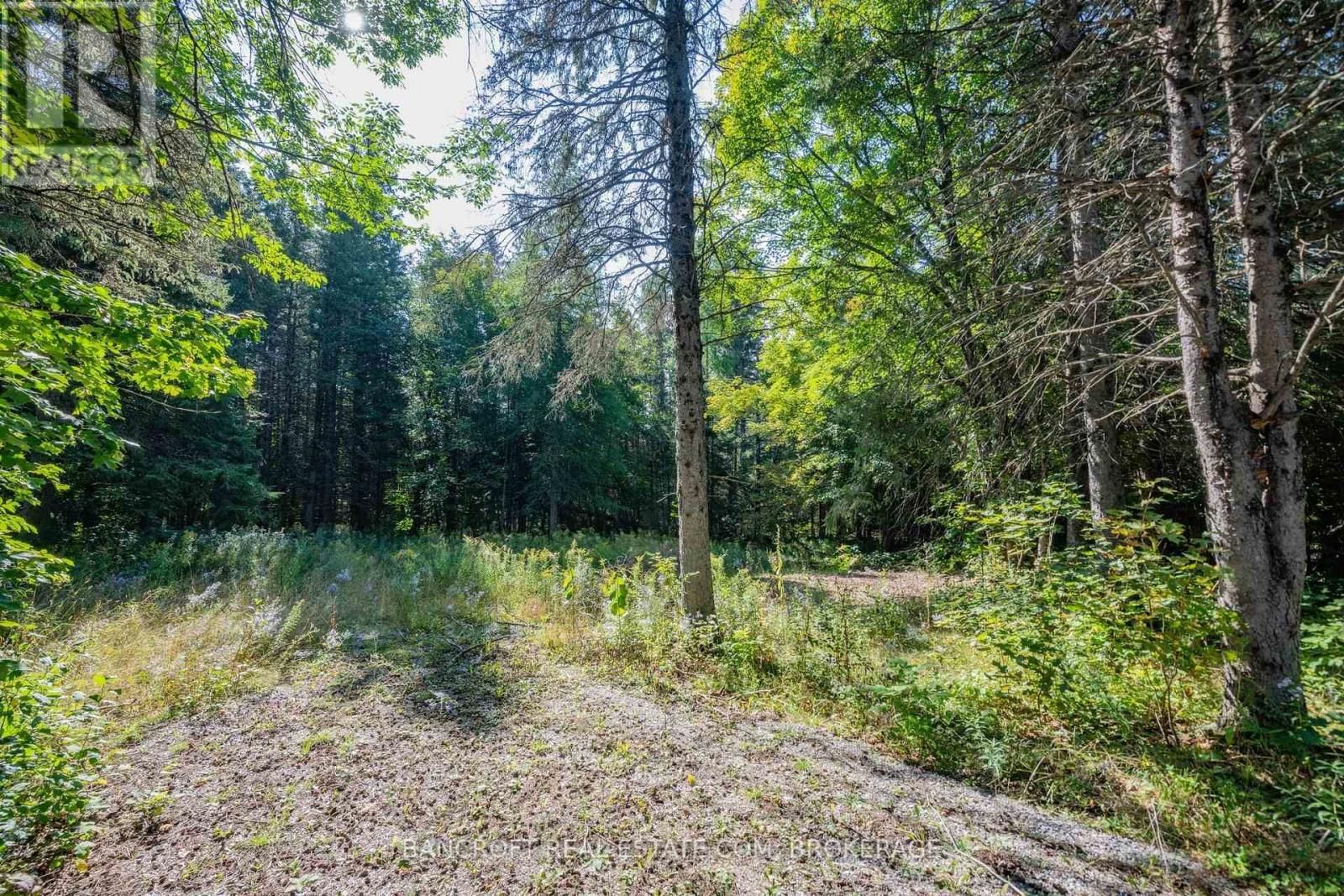 Main Photo: 1972 WESLEMKOON LAKE RD in Tudor & Cashel: Vacant Land for sale : MLS®# X7008970