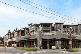 Photo 11: 3053 HIGHLAND Boulevard in North Vancouver: Edgemont Business for sale : MLS®# C8048968