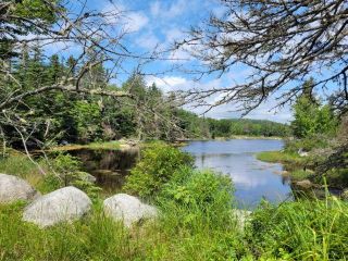 Photo 18: Highway 7 in Spry Harbour: 35-Halifax County East Vacant Land for sale (Halifax-Dartmouth)  : MLS®# 202219207