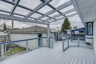 Photo 48: 2315 Maunsell Drive NE in Calgary: Mayland Heights Detached for sale : MLS®# A1209875
