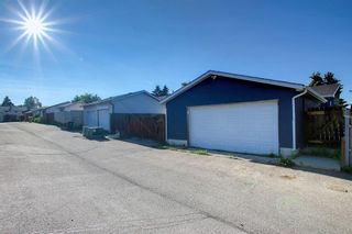 Photo 43: 651 Rundleridge Drive NE in Calgary: Rundle Detached for sale : MLS®# A2011558