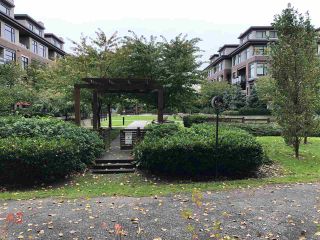 Photo 24: 108 262 SALTER Street in New Westminster: Queensborough Condo for sale in "Portage at Port Royal" : MLS®# R2509481