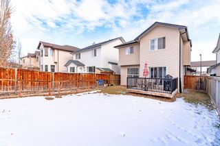 Photo 41: 229 Evansmeade Circle NW in Calgary: Evanston Detached for sale : MLS®# A2043234