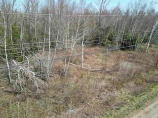 Photo 4: Lot 22-1 Pleasant Drive in Lyons Brook: 108-Rural Pictou County Vacant Land for sale (Northern Region)  : MLS®# 202317583