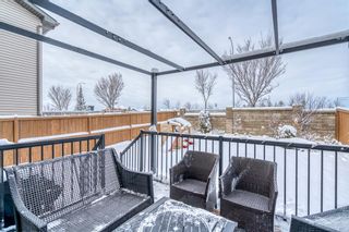 Photo 35: 342 Evansdale Way NW in Calgary: Evanston Detached for sale : MLS®# A1184663