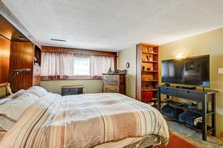 Photo 19: 5415 Trelle Drive NE in Calgary: Thorncliffe Detached for sale : MLS®# A2059548