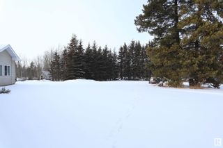 Photo 17: 470072 RR 273: Rural Wetaskiwin County House for sale : MLS®# E4327741