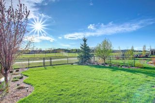 Photo 49: 168 Ranch Road: Okotoks Detached for sale : MLS®# A1220240