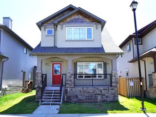 Photo 45: 175 Baywater Rise SW: Airdrie Detached for sale : MLS®# A1216308
