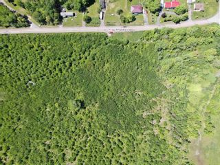 Photo 4: Reeves Road in Coalburn: 108-Rural Pictou County Vacant Land for sale (Northern Region)  : MLS®# 202130001
