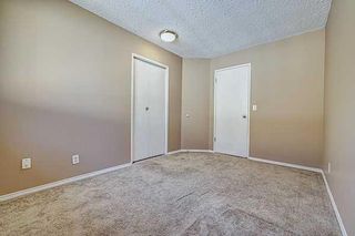 Photo 19: 165 Castlebrook Way NE in Calgary: Castleridge Semi Detached (Half Duplex) for sale : MLS®# A2141187
