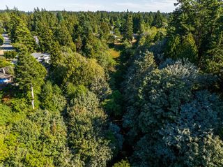 Photo 10: 2489 123A Street in Surrey: Crescent Bch Ocean Pk. Land for sale (South Surrey White Rock)  : MLS®# R2721561