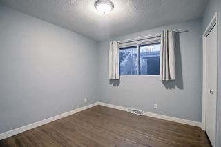 Photo 17: 3916 32 Avenue SW in Calgary: Glenbrook Semi Detached for sale : MLS®# A1179467