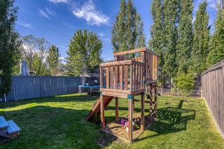 Photo 34: 52 Cranfield Manor SE in Calgary: Cranston Detached for sale : MLS®# A1122388