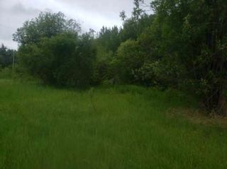 Photo 3: 831 Pelican Drive: Rural Opportunity M.D. Rural Land/Vacant Lot for sale : MLS®# E4270800