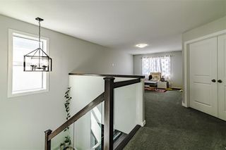 Photo 34: 167 Kilroy Street in Winnipeg: House for sale : MLS®# 202406135
