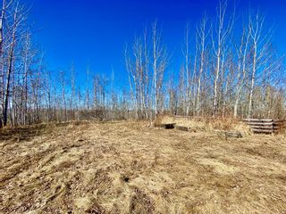 Photo 31: 650077 Highway 827: Rural Athabasca County Detached for sale : MLS®# A1159017