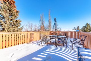 Photo 38: 40 Bearberry Crescent NW in Calgary: Beddington Heights Detached for sale : MLS®# A2023373