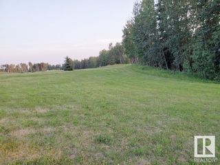 Photo 9: 73 Silversprings: Rural Wetaskiwin County Vacant Lot/Land for sale : MLS®# E4395329