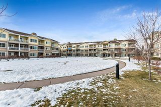 Photo 19: 2105 4 KINGSLAND Close: Airdrie Apartment for sale : MLS®# A1068425
