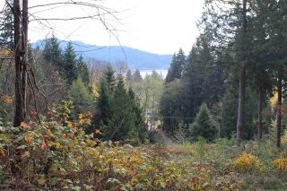 Photo 4: Lot 2 MARINE Drive in Granthams Landing: Gibsons & Area Land for sale in "SOAMES HILL" (Sunshine Coast)  : MLS®# R2558257