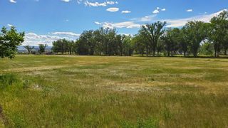 Photo 16: LOT 1 TIGERMOTH Crescent N in Rural Willow Creek No. 26, M.D. of: Rural Willow Creek M.D. Commercial Land for sale : MLS®# A2092326