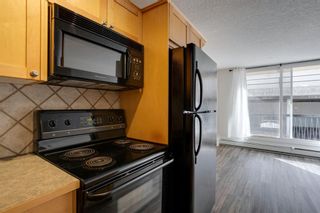 Photo 6: 205 1129 Cameron Avenue SW in Calgary: Lower Mount Royal Apartment for sale : MLS®# A1195022
