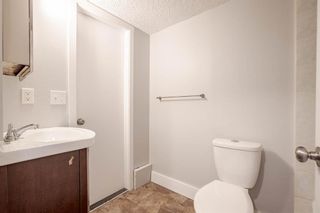 Photo 21: 222 Radley Place SE in Calgary: Albert Park/Radisson Heights Full Duplex for sale : MLS®# A2016685