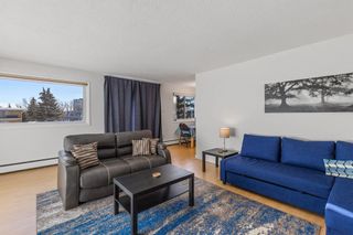 Photo 9: 302 3103 Blakiston Drive NW in Calgary: Brentwood Apartment for sale : MLS®# A2019913