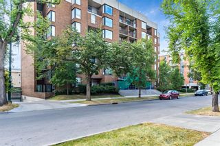 Photo 2: 701 1123 13 Avenue SW in Calgary: Beltline Apartment for sale : MLS®# A1029963