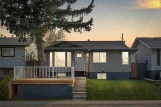 Photo 36: 4219 Dovercrest Drive SE in Calgary: Dover Detached for sale : MLS®# A2141062