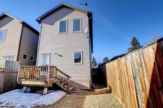 Photo 45: 2006 37 Street SE in Calgary: Forest Lawn Detached for sale : MLS®# A1176764