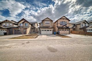 Photo 46: 50 Skyview Shores Crescent NE in Calgary: Skyview Ranch Detached for sale : MLS®# A2125037