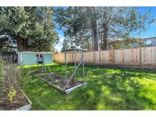 Photo 32: 11742 94 Avenue in Delta: Annieville House for sale (N. Delta)  : MLS®# R2669250