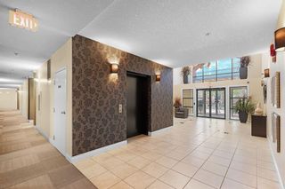 Photo 31: 208 2320 Erlton Street SW in Calgary: Erlton Apartment for sale : MLS®# A2066368