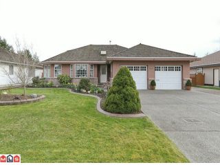 Photo 10: 21922 45TH Avenue in Langley: Murrayville House for sale in "Murrayville" : MLS®# F1109662