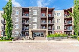 Photo 1: 422 195 Kincora Glen Road NW in Calgary: Kincora Apartment for sale : MLS®# A2079711