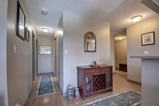 Photo 11: 311 8604 48 Avenue NW in Calgary: Bowness Apartment for sale : MLS®# A1113873