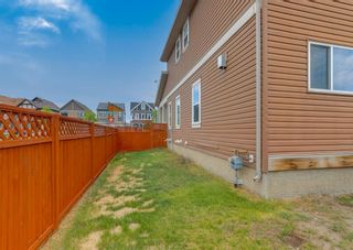 Photo 35: 446 Copperpond Boulevard SE in Calgary: Copperfield Detached for sale : MLS®# A1226631