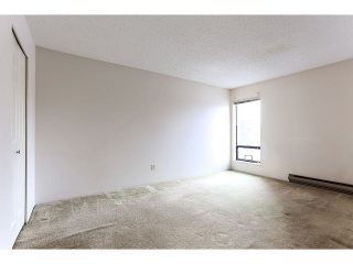 Photo 16: 202 6460 CASSIE Avenue in Burnaby: Metrotown Condo for sale (Burnaby South)  : MLS®# V1111832