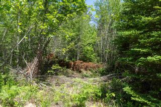 Photo 18: Lot 8 Old Renfrew Road in Upper Rawdon: 105-East Hants/Colchester West Vacant Land for sale (Halifax-Dartmouth)  : MLS®# 202306243