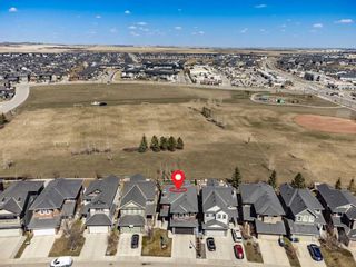 Photo 50: 40 Evanspark Circle NW in Calgary: Evanston Detached for sale : MLS®# A2126976
