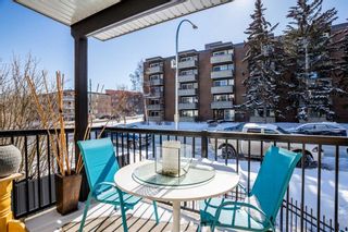 Photo 27: 202 912 19 Avenue SW in Calgary: Lower Mount Royal Apartment for sale : MLS®# A2113538
